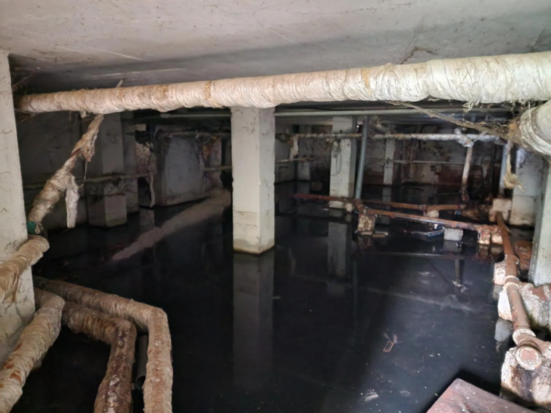 Фото: Дмитрий Алексеенко