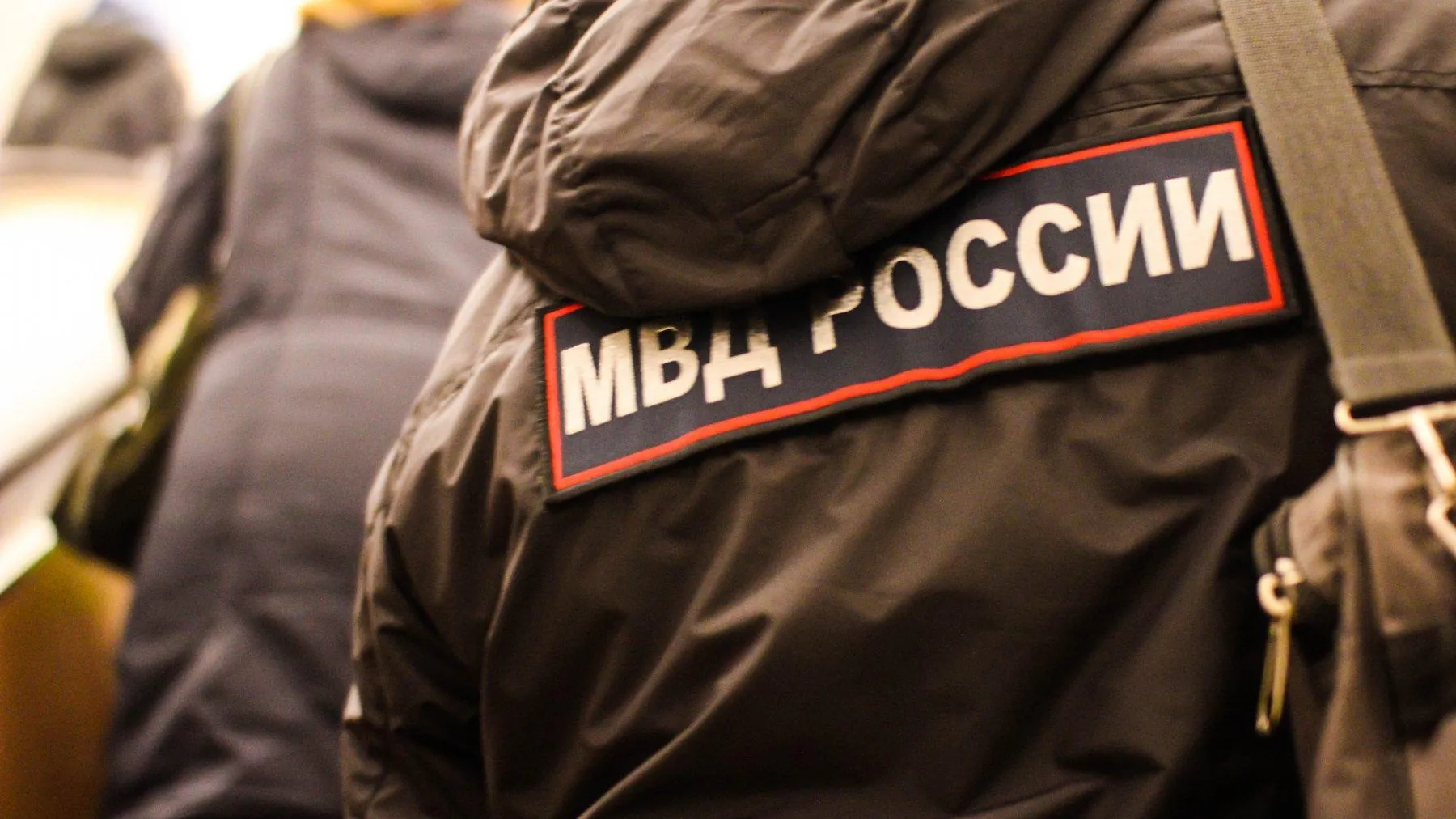 Фото: Илья Тушев / Вести Подмосковья