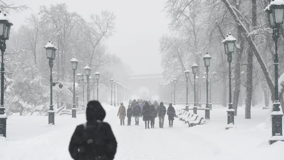 Фото: медиасток.рф