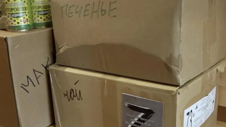 Фото: пресс-служба администрации г.о. Домодедово