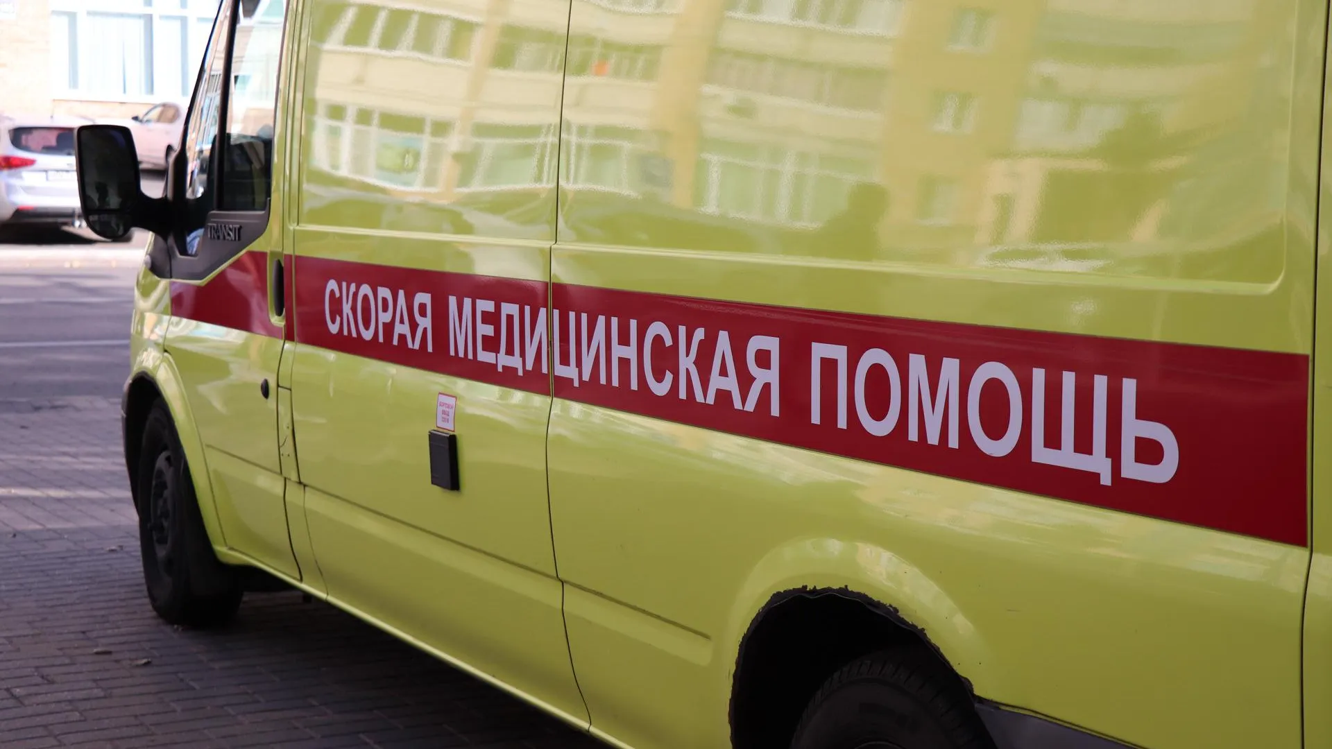 Фото: Василий Тремасов