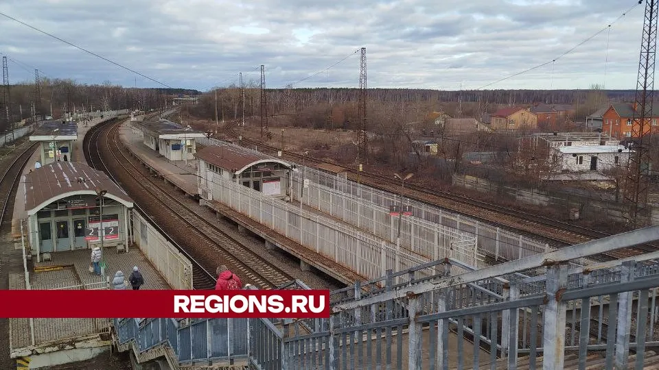 Фото: REGIONS/Наталья Дорофеева