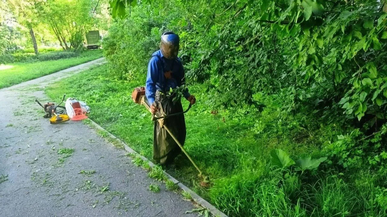 В Подмосковье начались работы по покосу травы во дворах и на общественных территориях