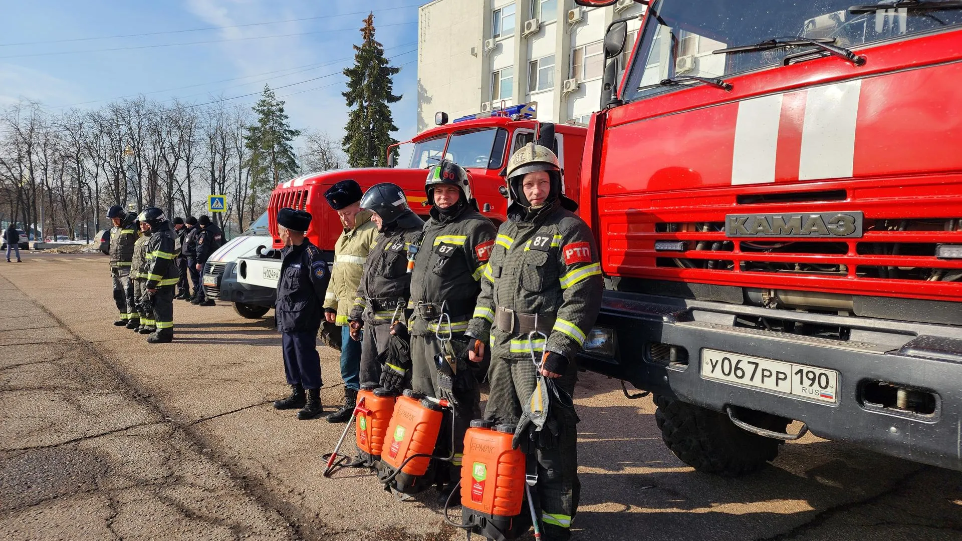 Елена Шумакова