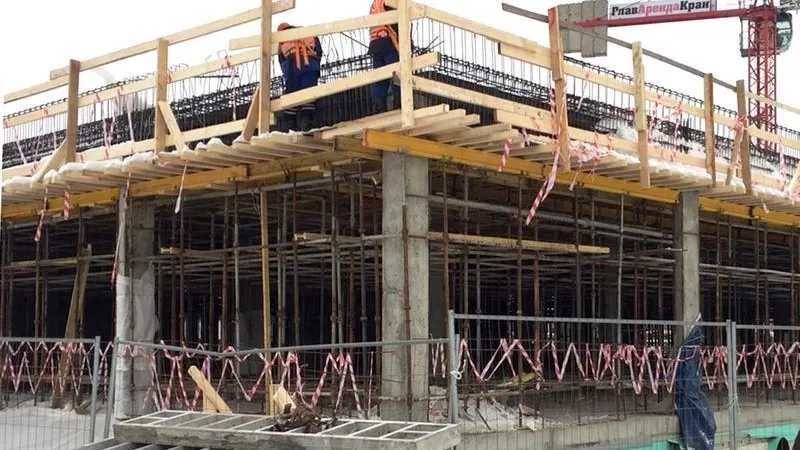 Ветеринарный центр построят к концу года в Одинцово