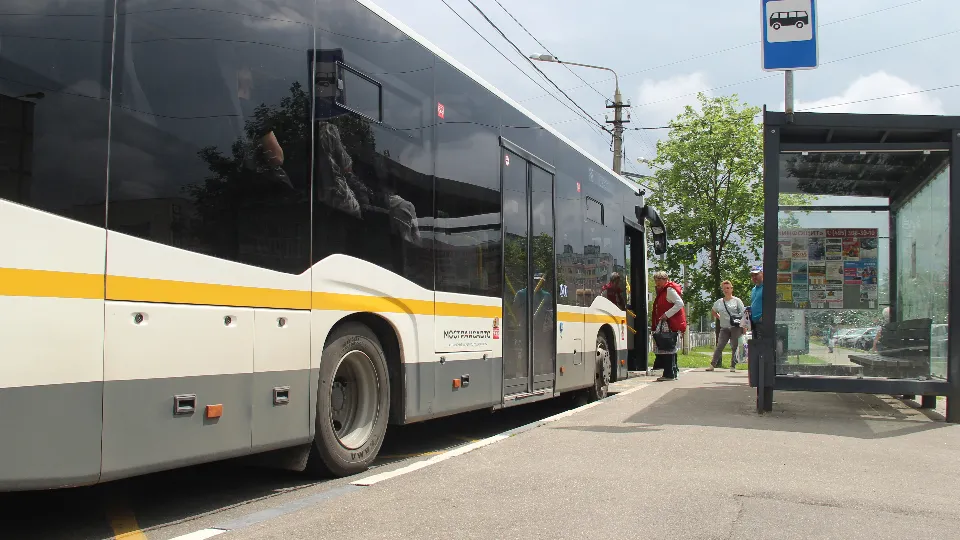 Фото: REGIONS/Василий Тремасов