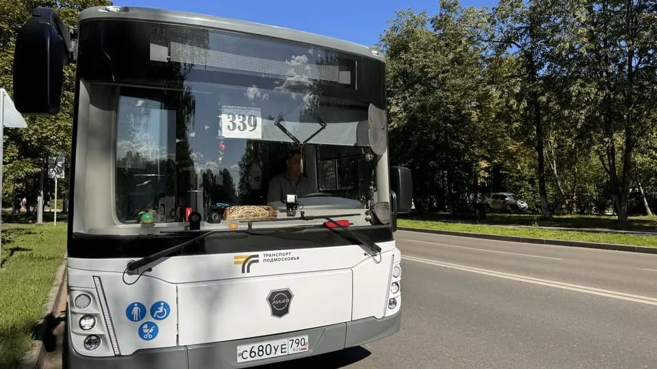 Фото: МедиаБанк Подмосковья/ Мария Шматкова