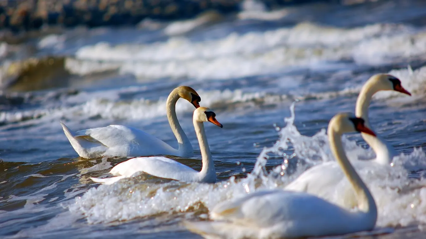 Фото: freepik.com