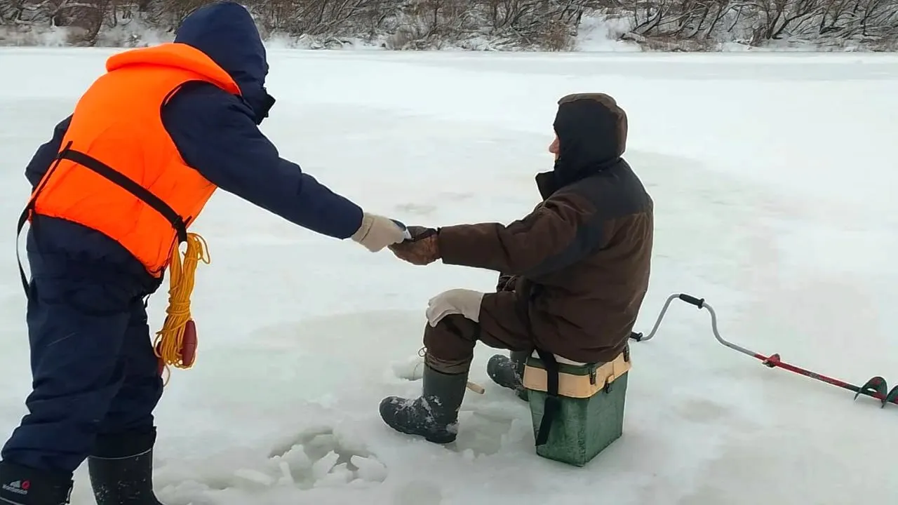 Фото: пресс-служба администрации г.о. Кашира