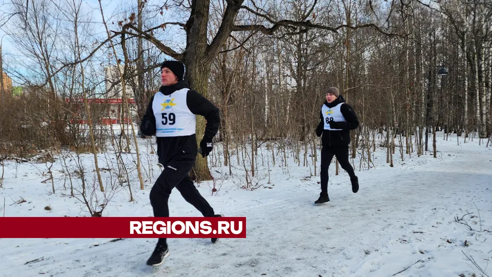 Фото: REGIONS/Наталья Дорошева