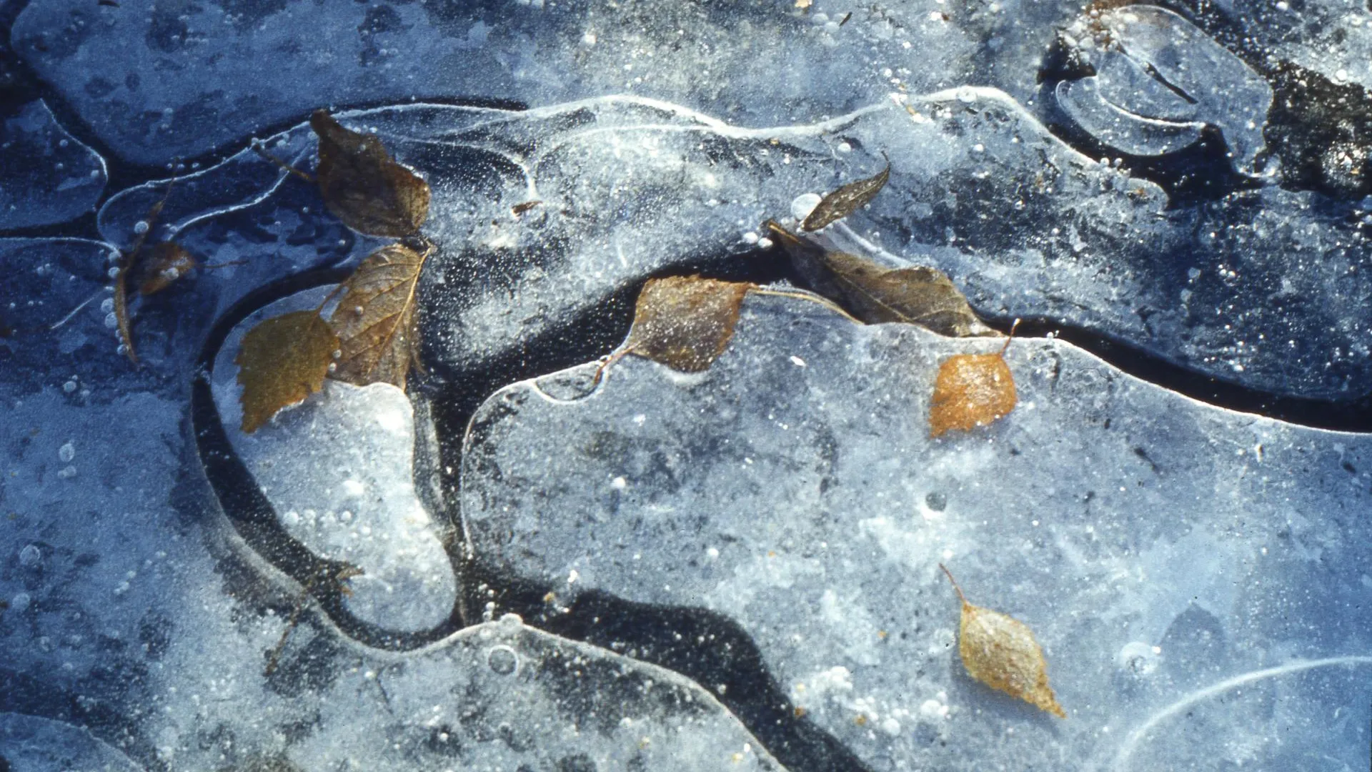 Vyacheslav Strykhar/Russian Look