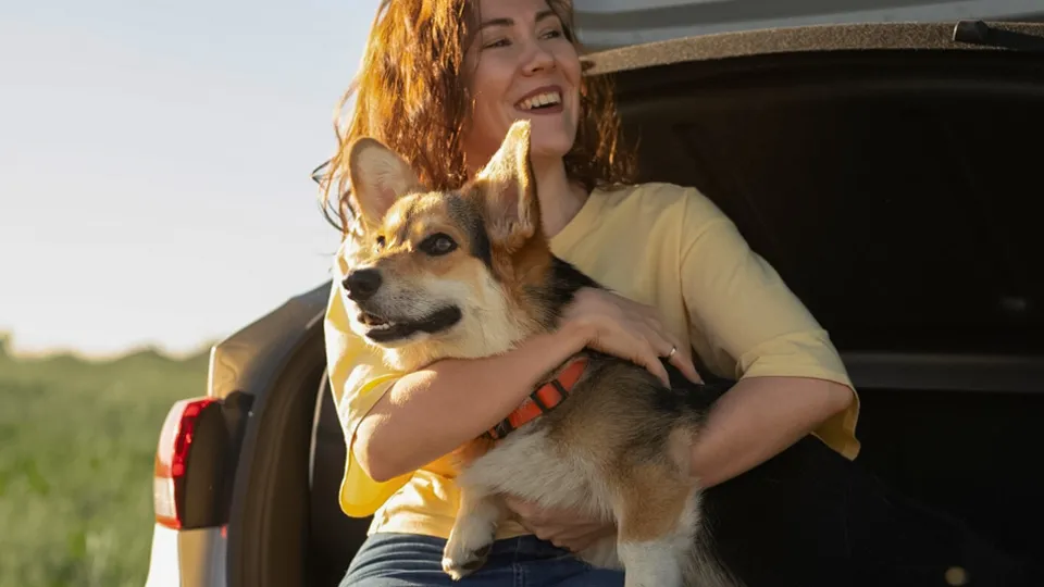 Фото: freepik.com