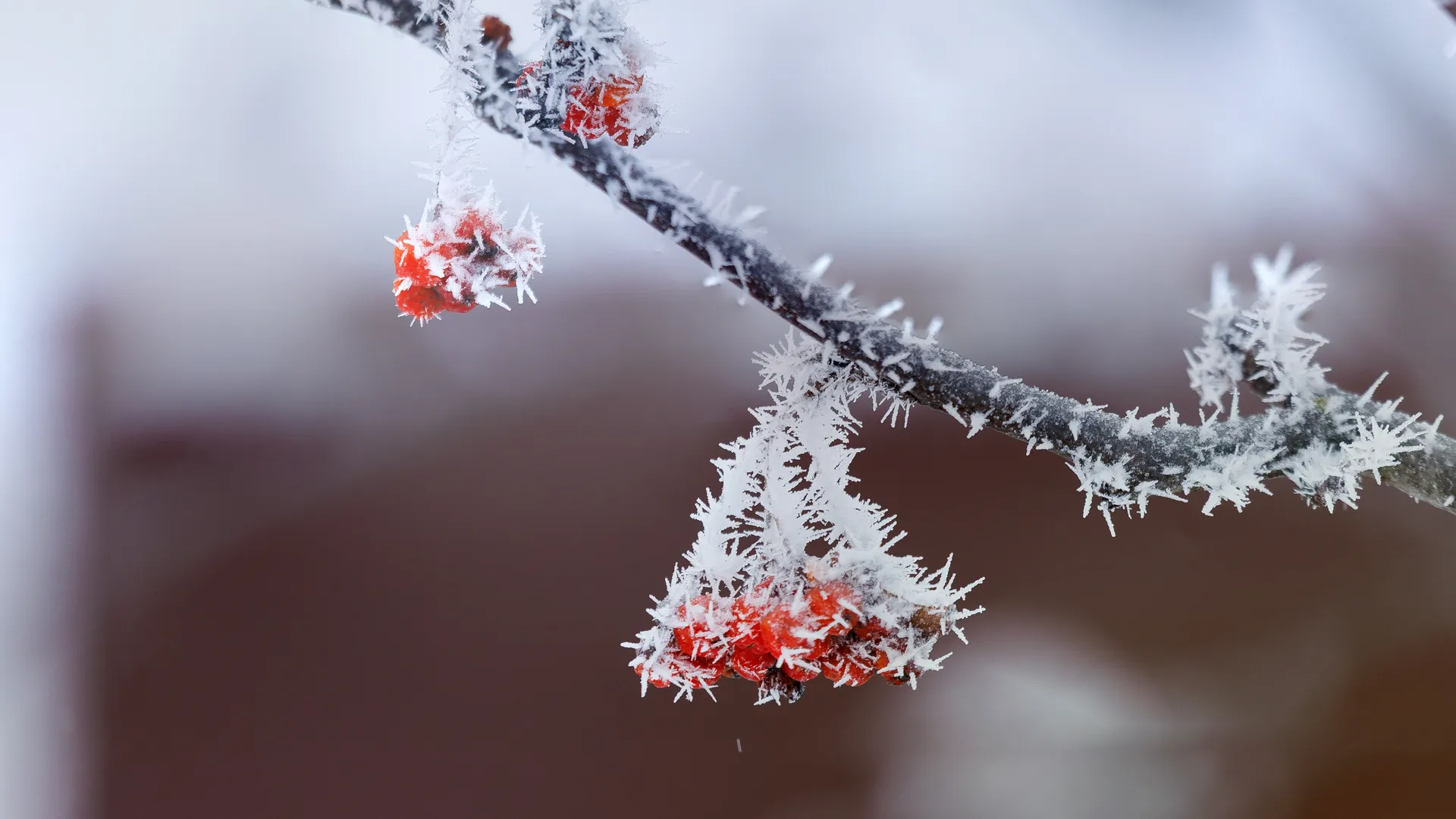 медиасток.рф