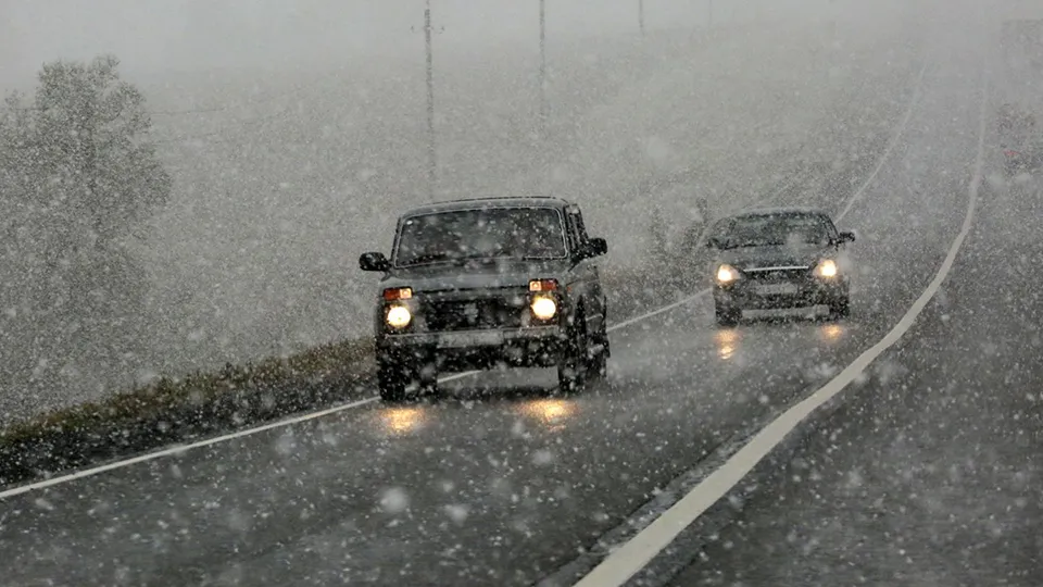 Фото: медиасток.рф