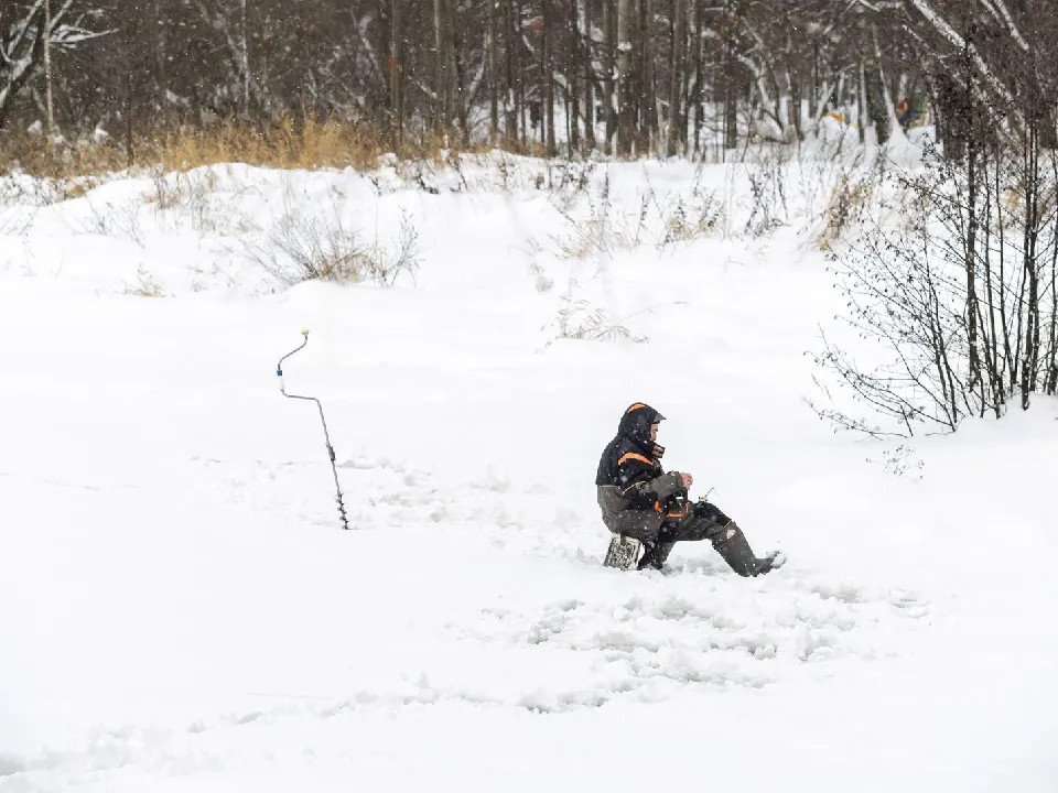 Фото: медиасток.рф&nbsp;&nbsp;