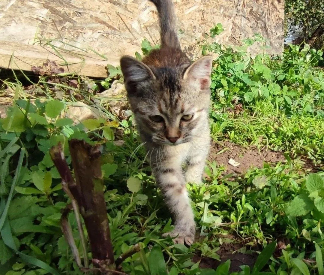 Фото: Подслушано на Глебовке (новая) / ВКонтакте