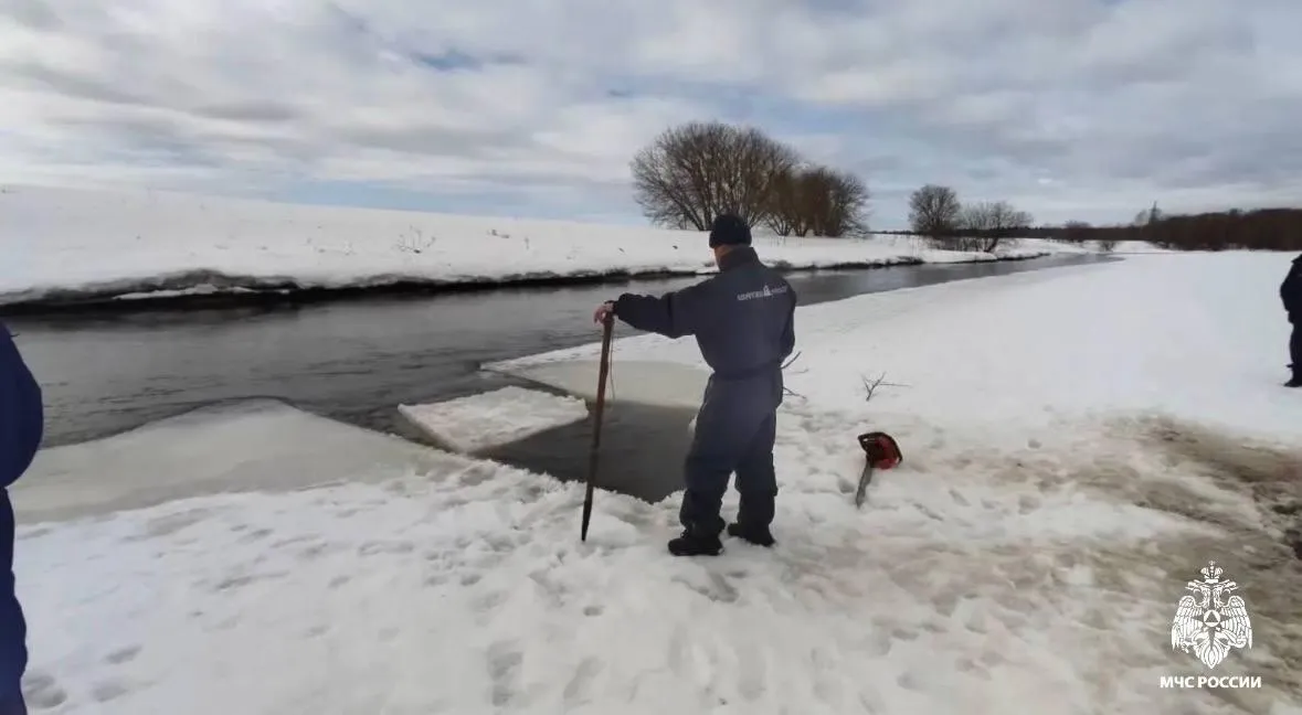 МЧС Московской области