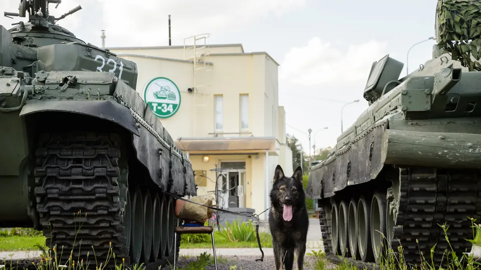 Фото: медиасток.рф