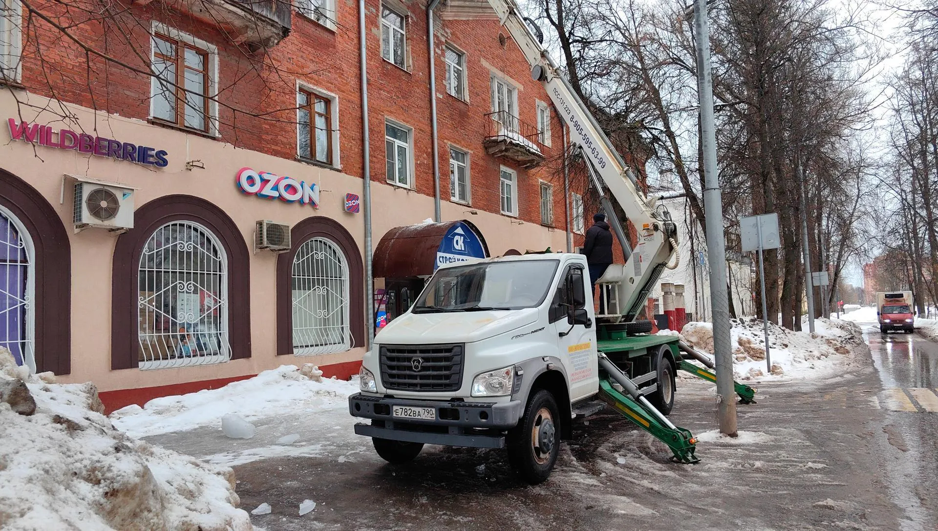 Елена Катасонова