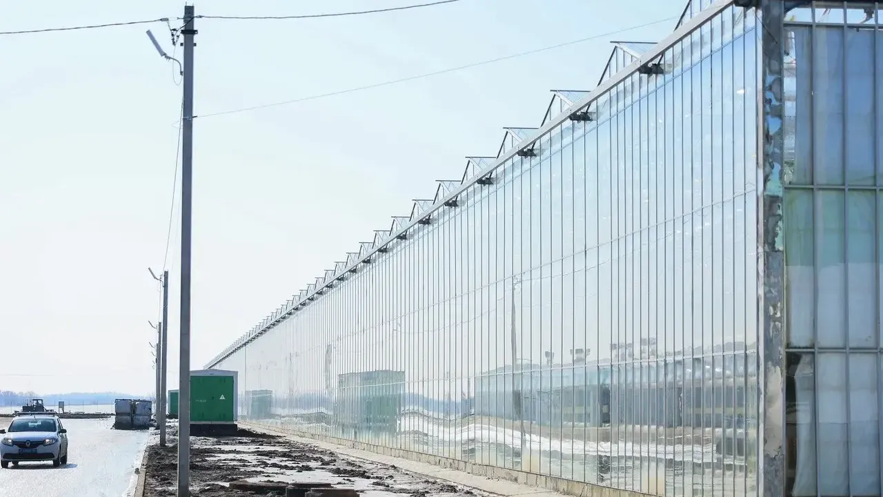 Фото: Константин Семенец