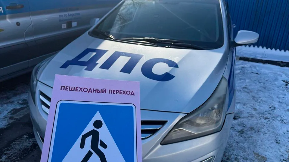 Фото: пресс-служба администрации г.о. Королев