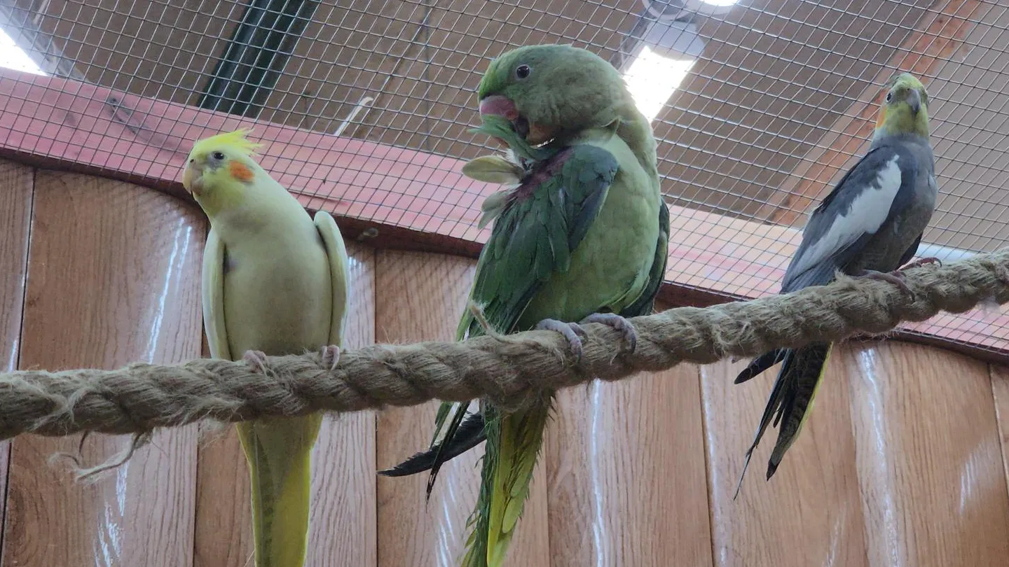 Фото: REGIONS/Артем Мишуков