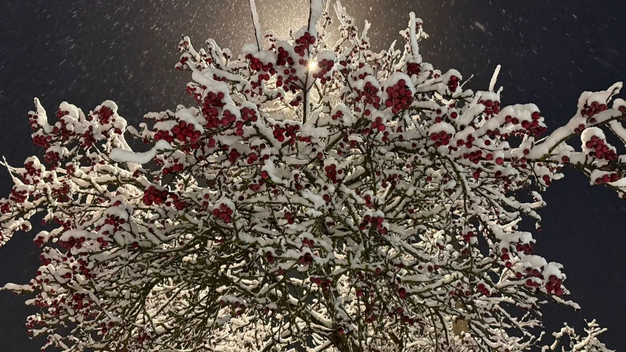 Фото: Марина Алифанова