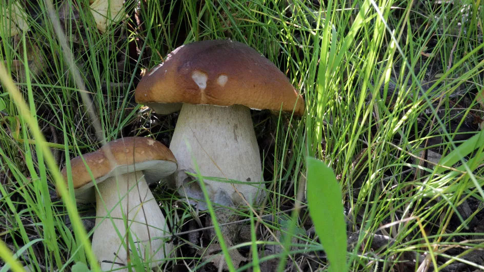 Фото: медиасток.рф