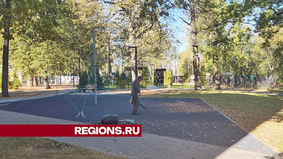 Фото: Андрей Семибратов