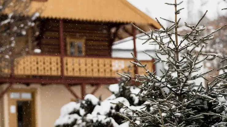 Фото взято с ru.freepik.com