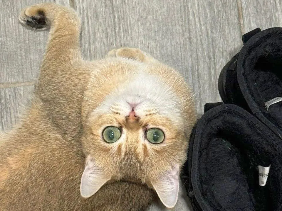 Фото: ГК «Гранель»