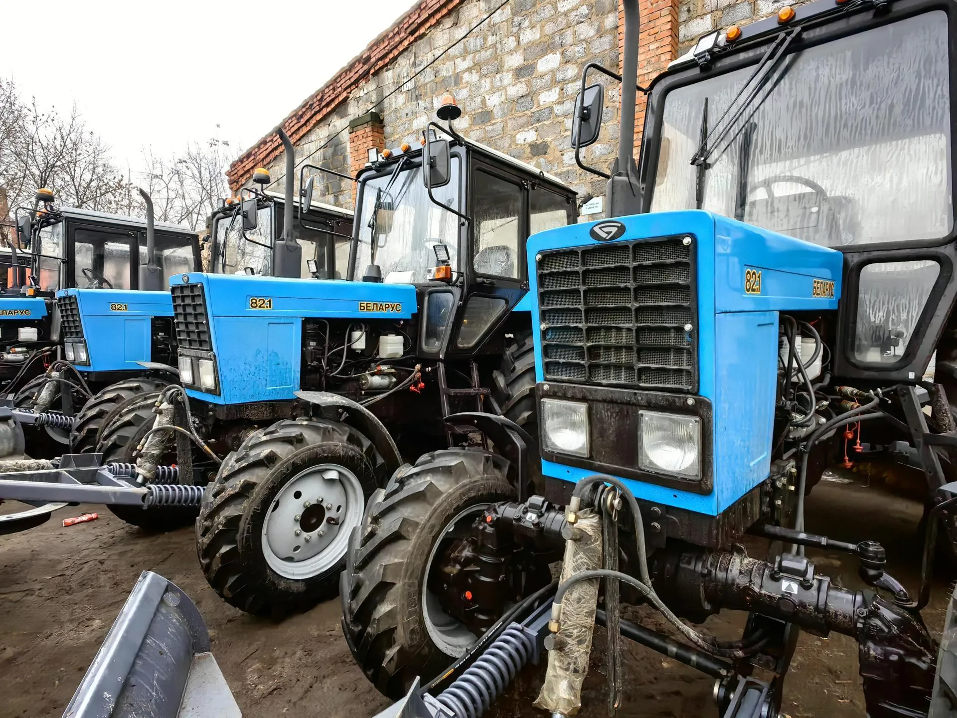 Елена Катасонова