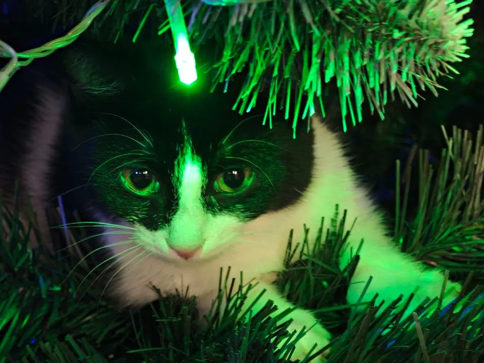 Фото: Максим Зубарев