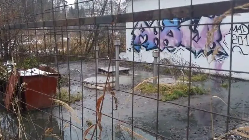 Фекальные стоки заливают целый поселок в Сергиево-Посадском районе
