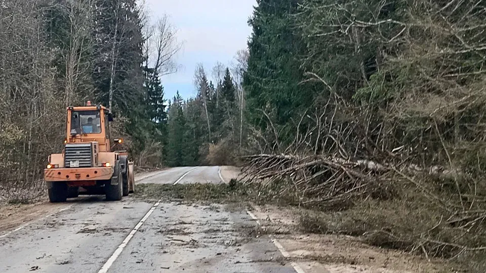 Фото: Минтранс МО