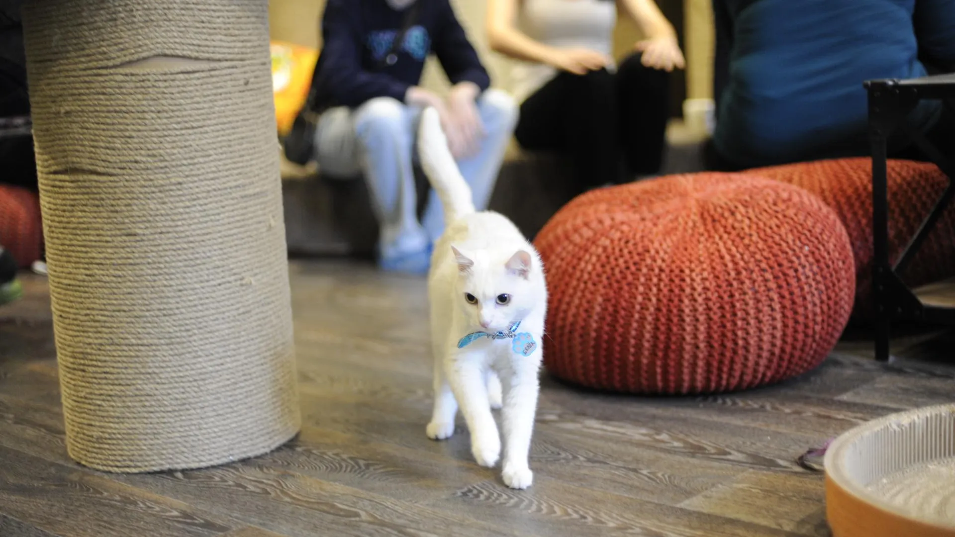 медиасток.рф