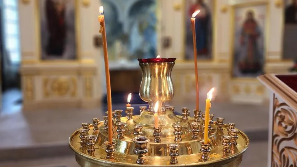 Фото: МедиаБанк Подмосковья/Анна Шолохова