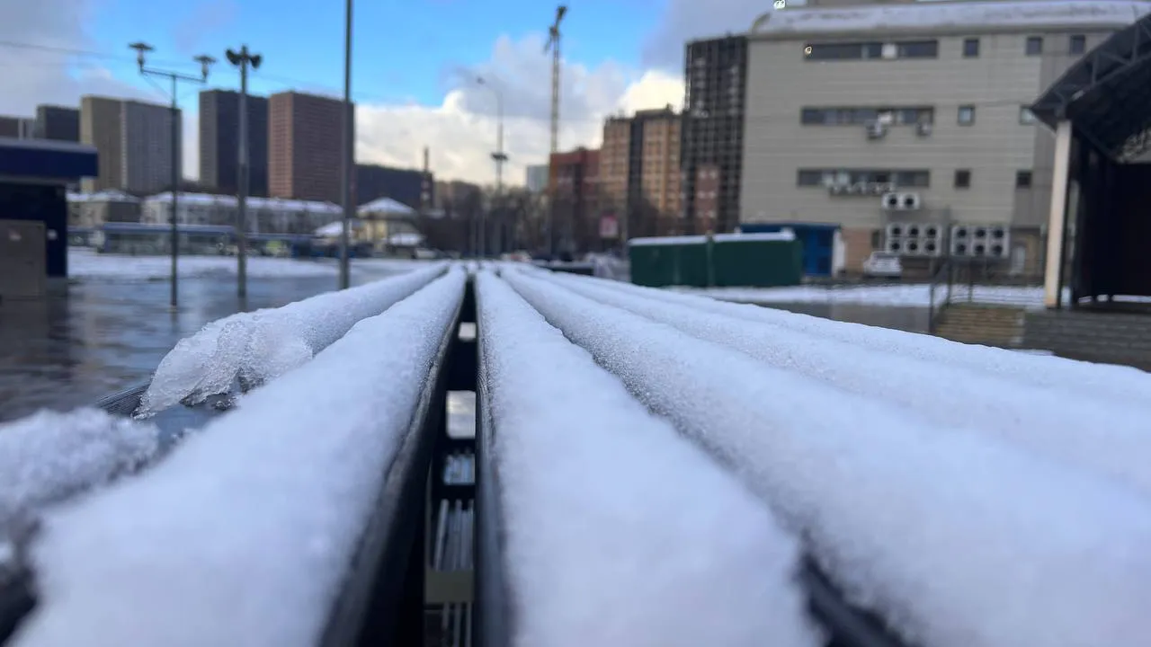 Фото: REGIONS/Елена Фурман