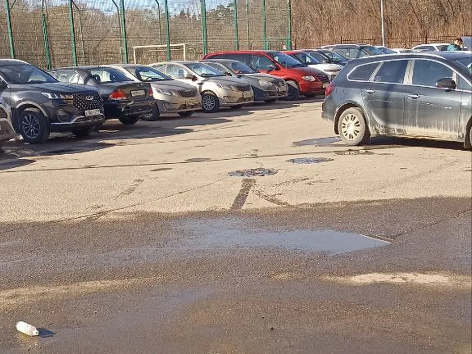 Фото: пресс-служба администрации г.о. Ленинский