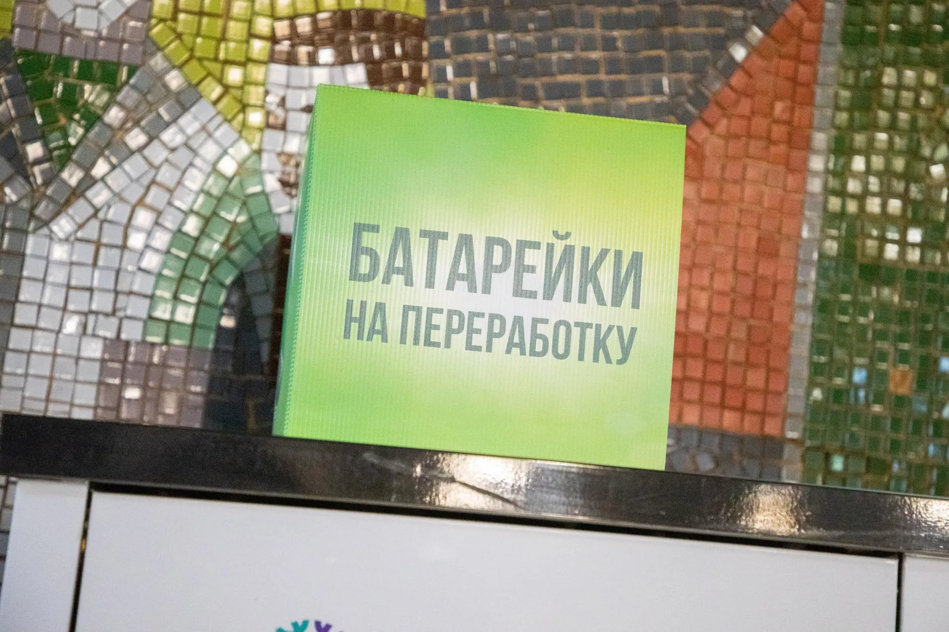 Фото: Анастасия Харченко