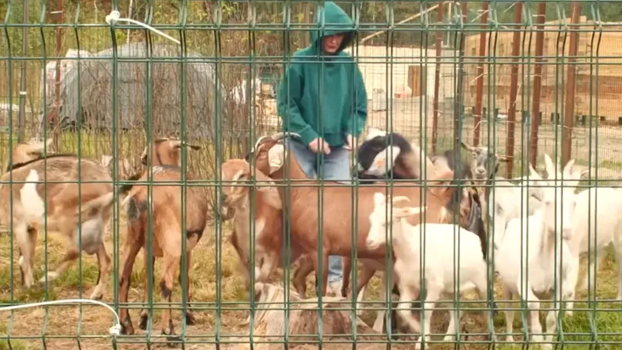 личный архив Полины Савиной