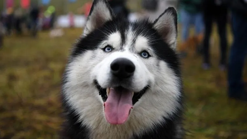 Светлана Шевченко/ РИА Новости