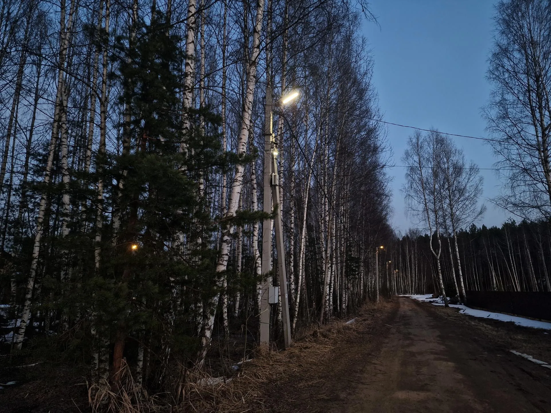 REGIONS/Арина Кузнецова