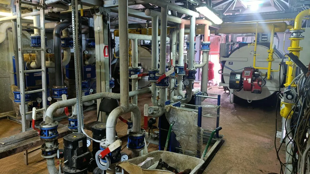 Фото: пресс-служба администрации м.о. Шаховская