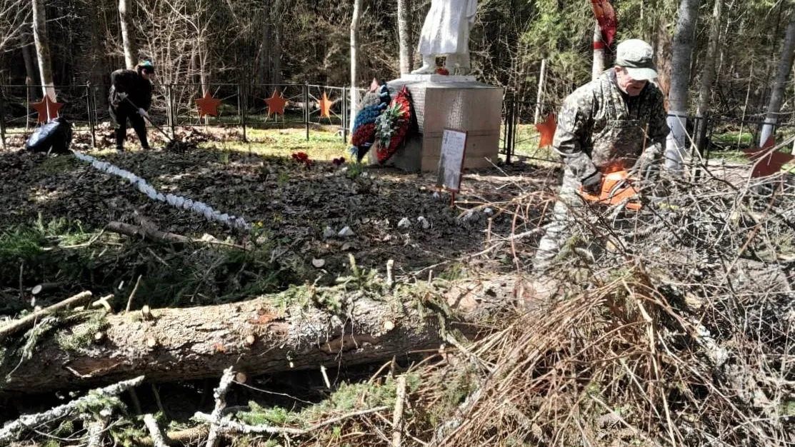 Фото: Комитет лесного хозяйства Московской области