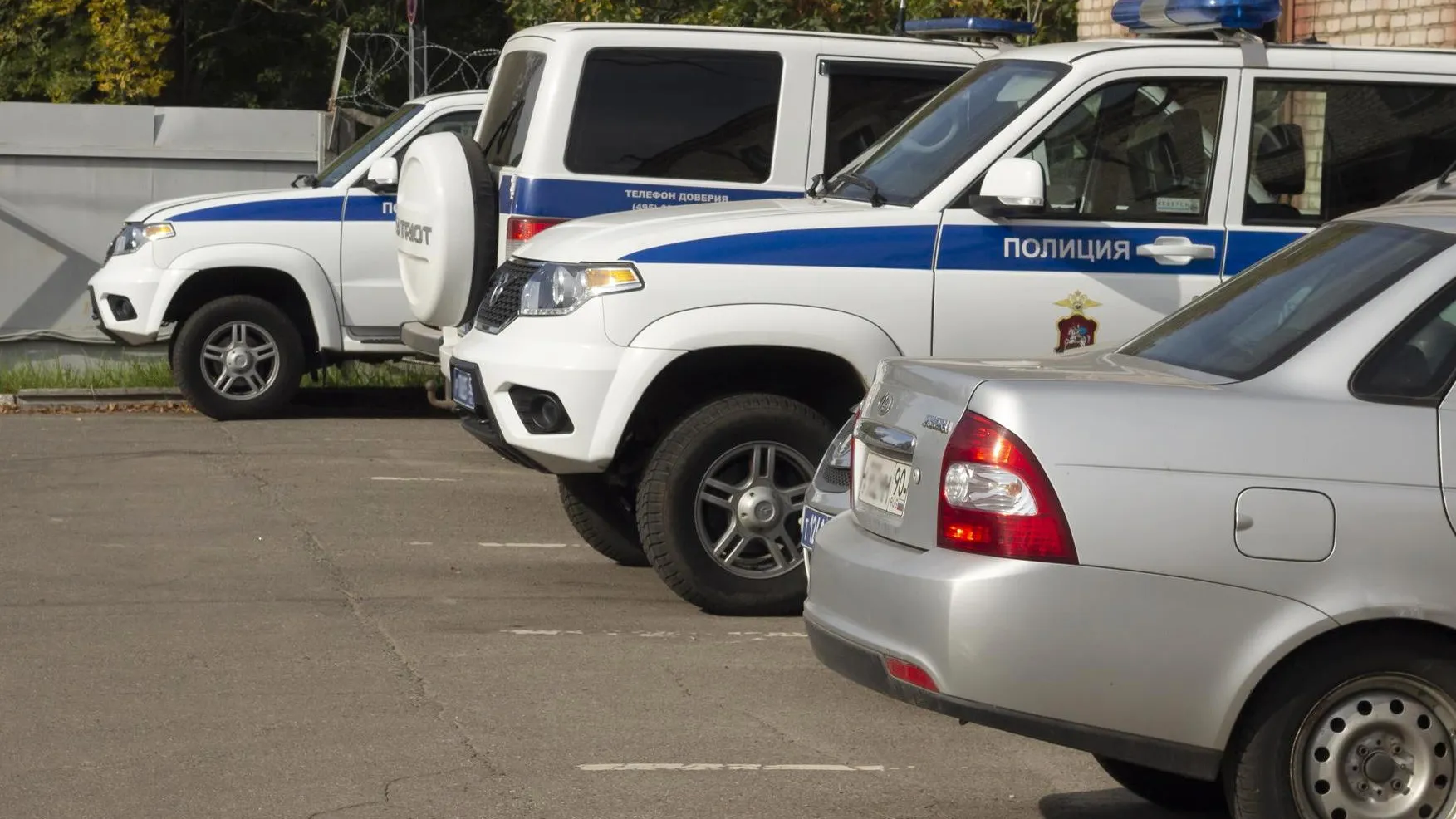 Фото: Нина Басистая