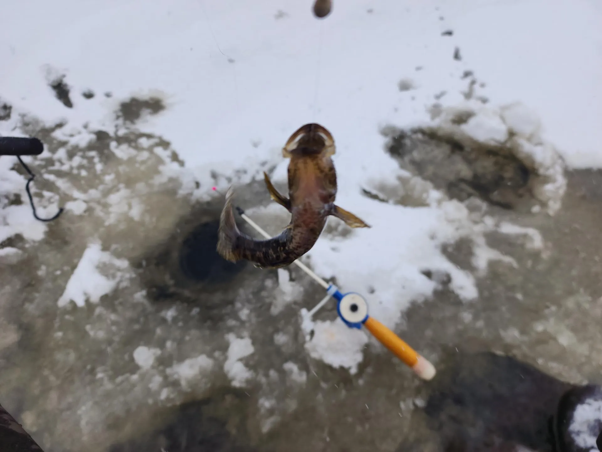 Фото: Михаил Мартыненко