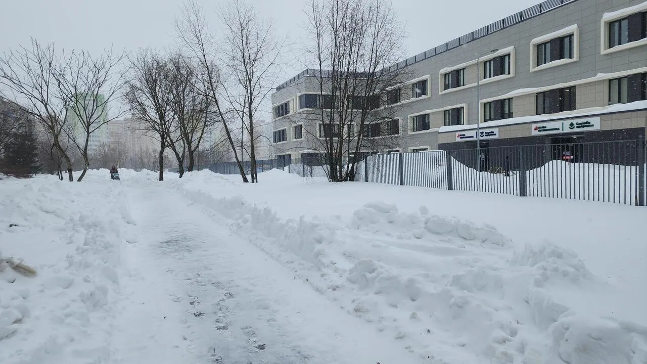 REGIONS/Валерия Тингаева