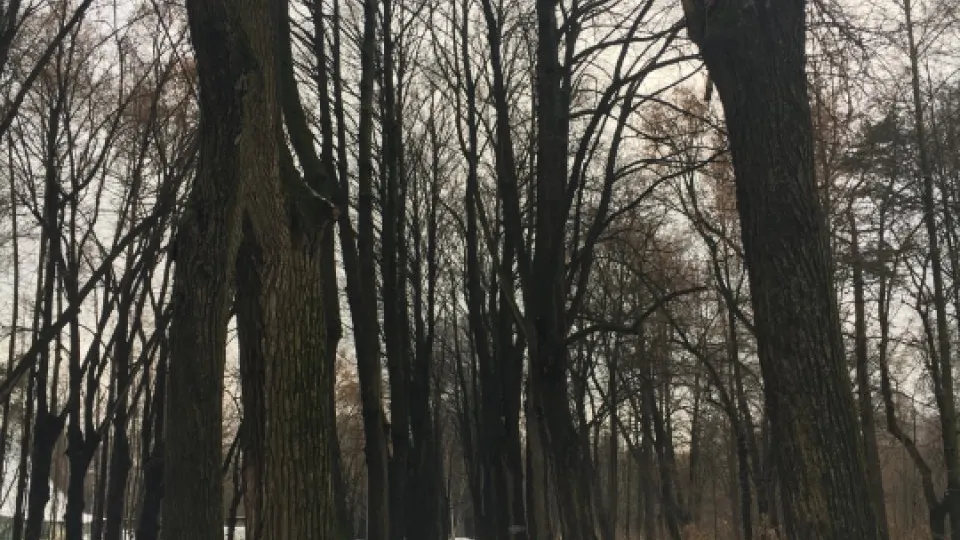 Фото: REGIONS/Владимир Ерастов