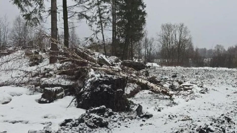 Фото: Министерство экологии и природопользования Московской области